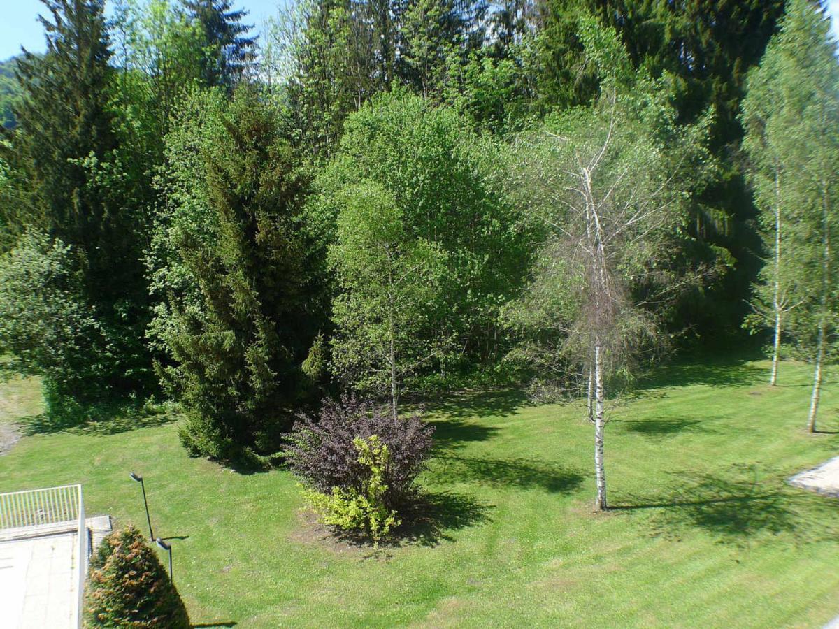 Appartement Confortable Avec Piscines, Terrasse Et Parking A Samoens - Fr-1-629-100 المظهر الخارجي الصورة